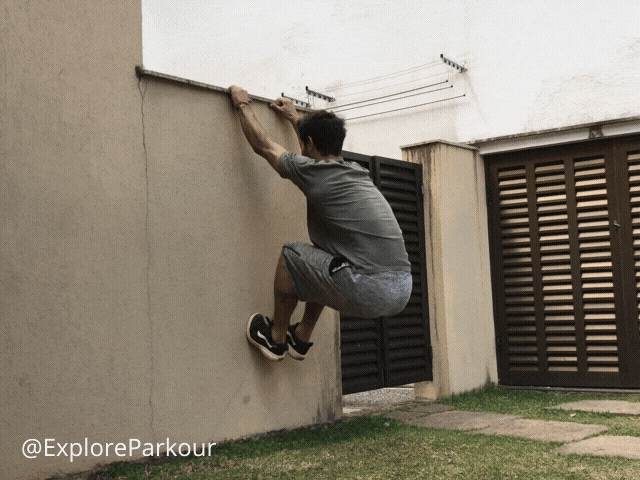 Cat Hang Hops