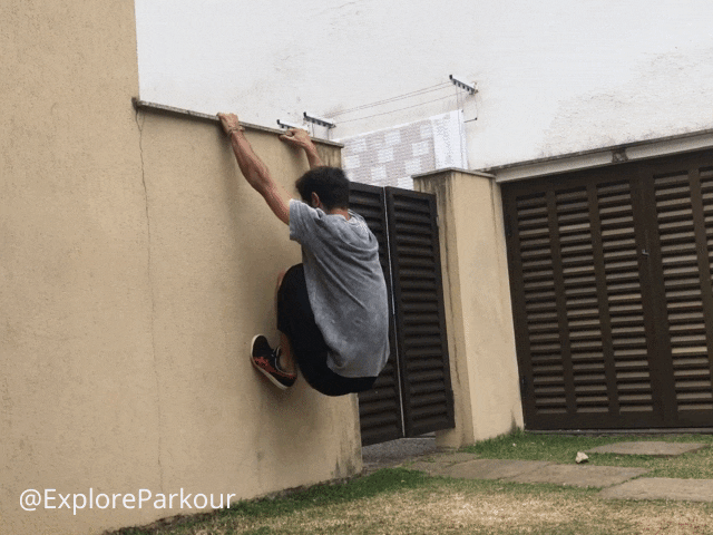 Cat Hang Jumps