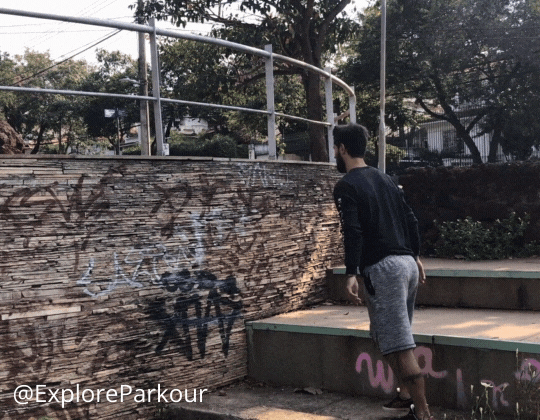 dyno progression step into dyno