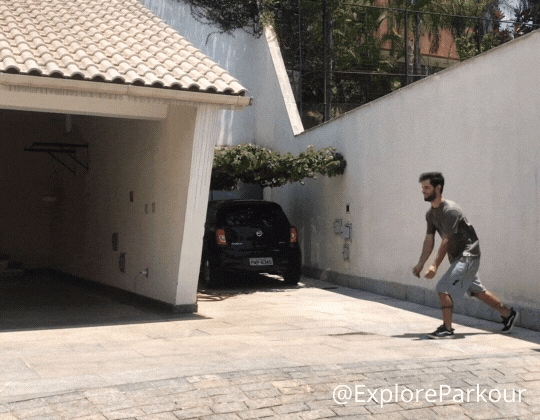 cat pass progression same side gallop