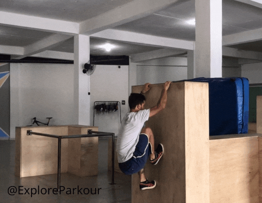 cat back problem arms bent