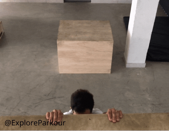 cat back technique above shot
