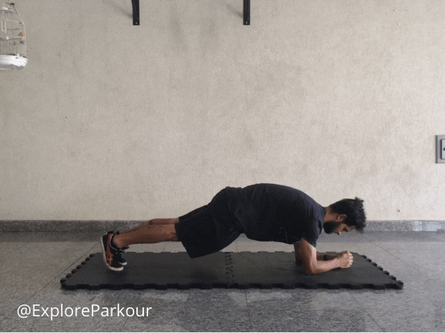 Lying Tuck - Plank Position Hold