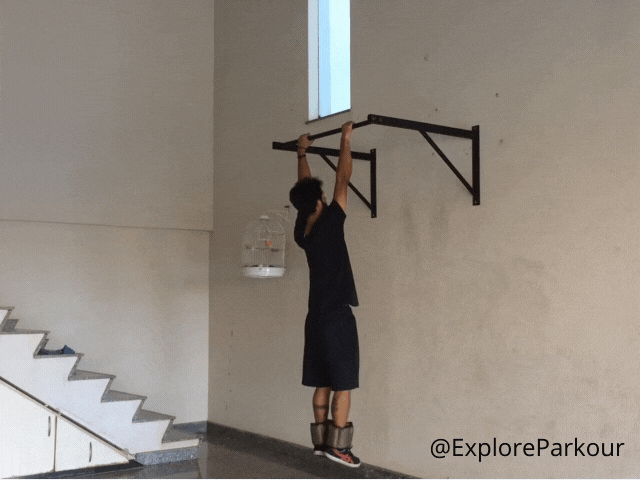Pull Up - Weighted Pull Up