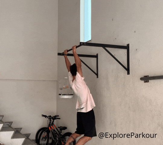 exercise dyno pull up
