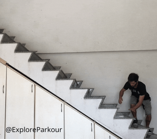 side monkey up and down stairs